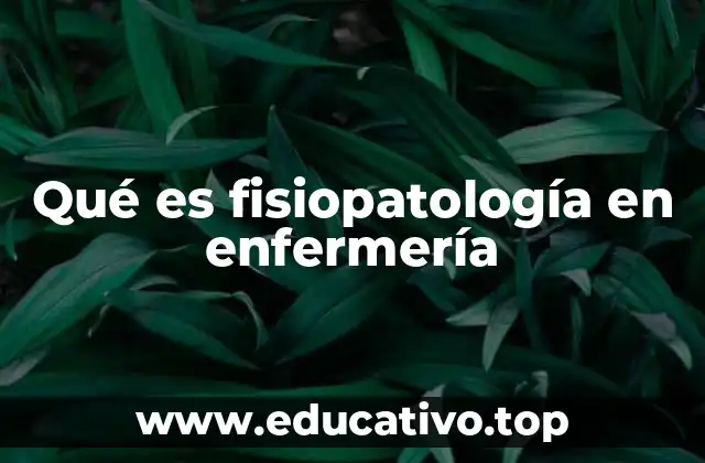 Qué es fisiopatología en enfermería