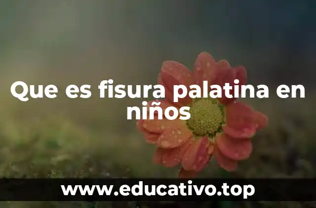 Que es fisura palatina en niños