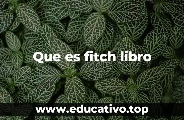 El sistema Fitch en la lógica simbólica