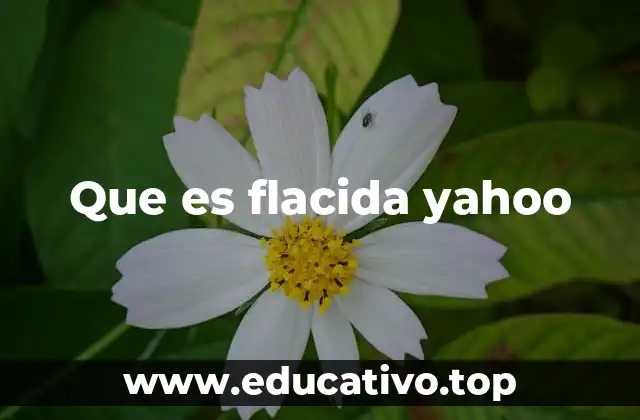 Que es flacida yahoo