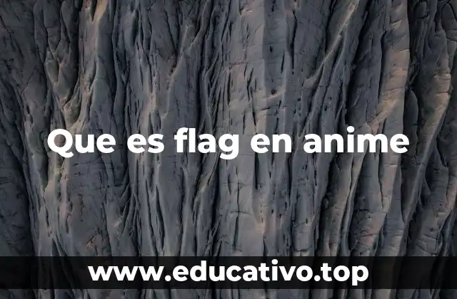Que es flag en anime
