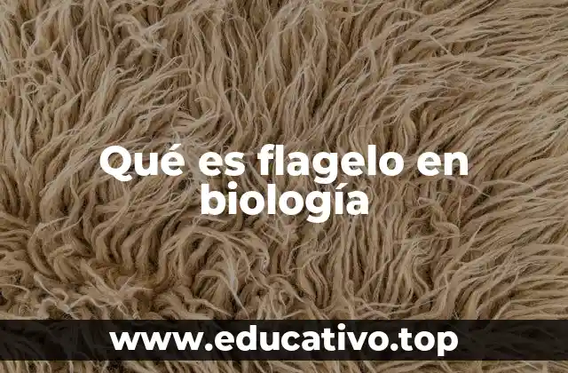 Qué es flagelo en biología