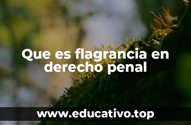 Que es flagrancia en derecho penal