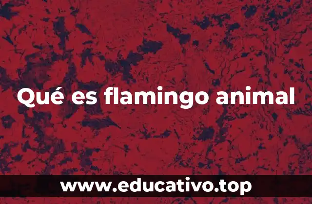 Características físicas y comportamiento de los flamingos