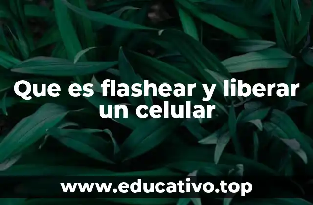 Que es flashear y liberar un celular