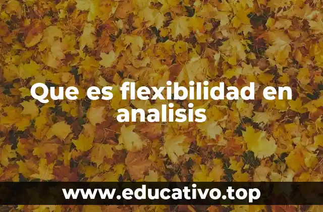 Que es flexibilidad en analisis