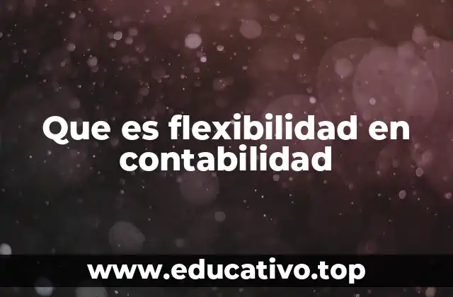 Que es flexibilidad en contabilidad
