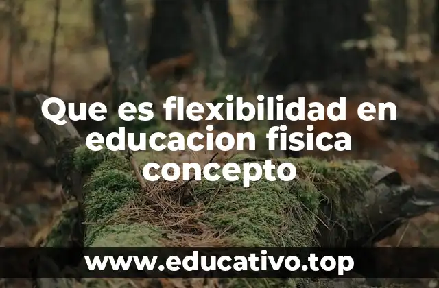 Que es flexibilidad en educacion fisica concepto