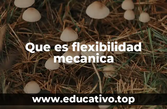 Que es flexibilidad mecanica