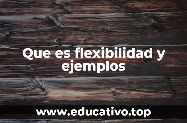 Que es flexibilidad y ejemplos
