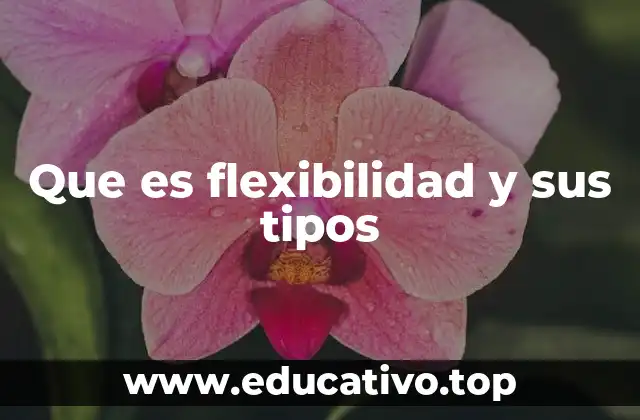 Que es flexibilidad y sus tipos