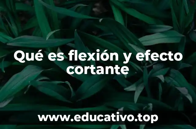 Qué es flexión y efecto cortante