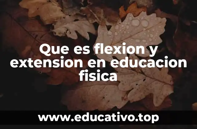 Que es flexion y extension en educacion fisica