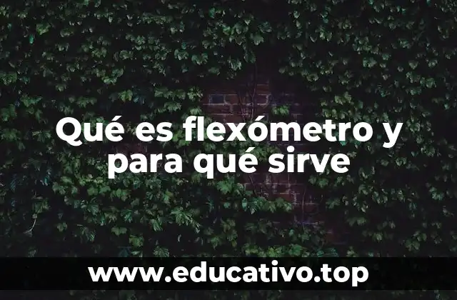 Qué es flexómetro y para qué sirve