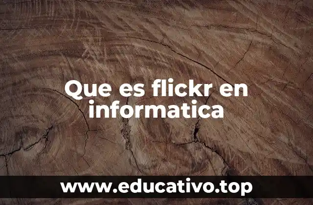 Que es flickr en informatica