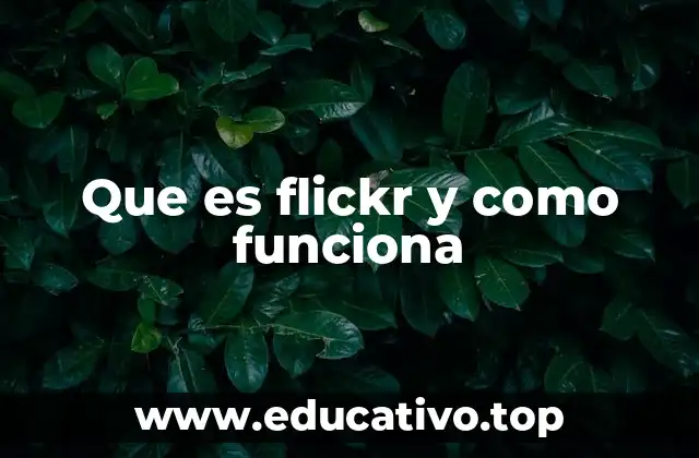 Que es flickr y como funciona