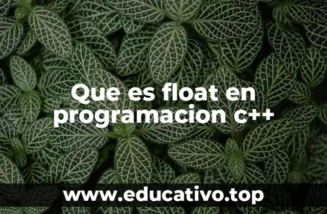 Que es float en programacion c++