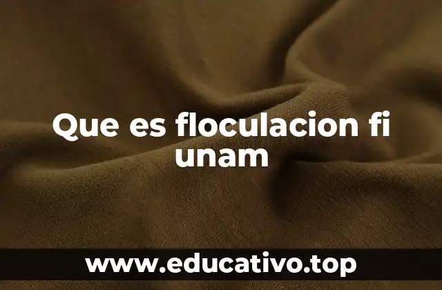 El papel de la floculación en la gestión de recursos hídricos