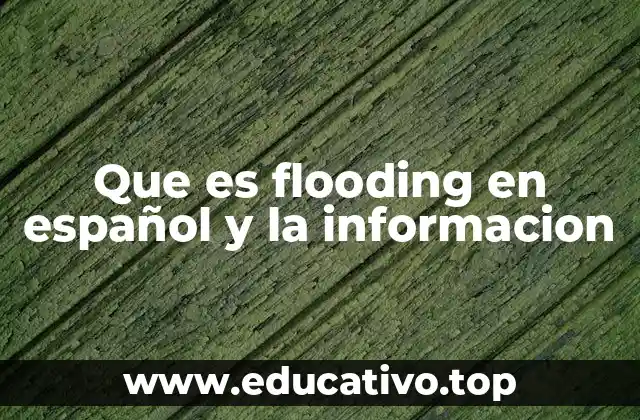 Que es flooding en español y la informacion
