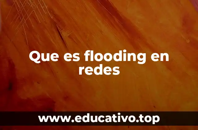 Que es flooding en redes