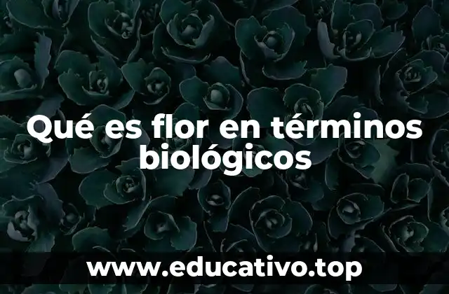 Qué es flor en términos biológicos