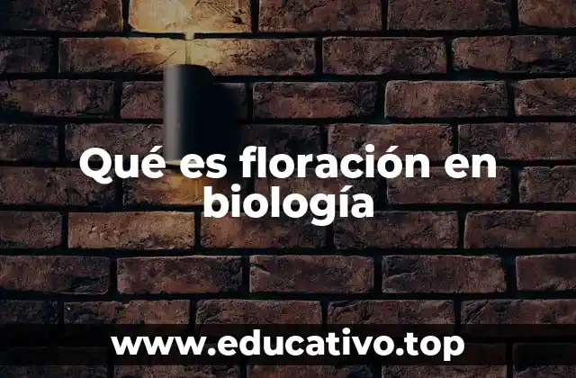 El proceso biológico detrás de la floración