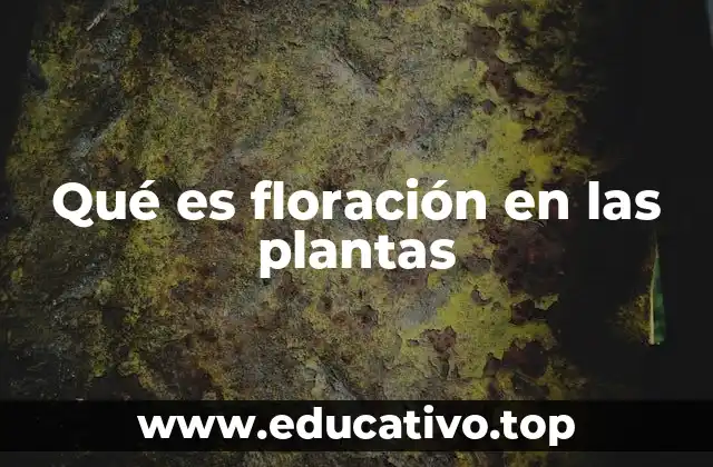 Qué es floración en las plantas