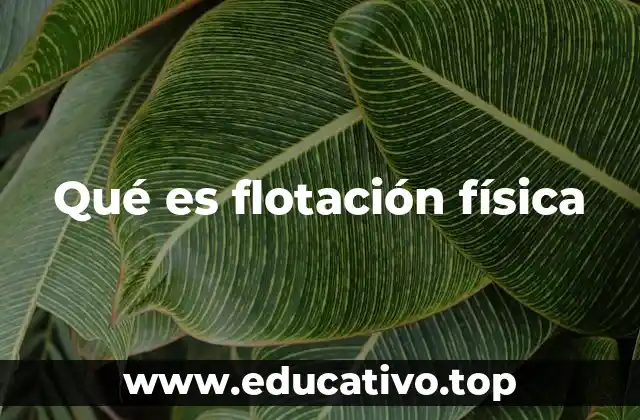 Qué es flotación física