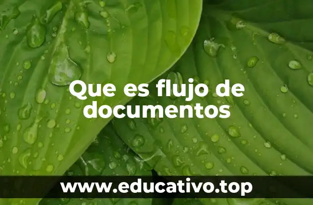 Que es flujo de documentos