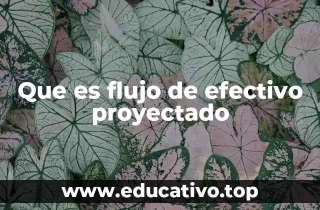 Que es flujo de efectivo proyectado