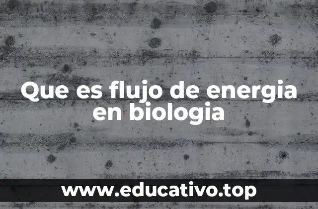 Que es flujo de energia en biologia