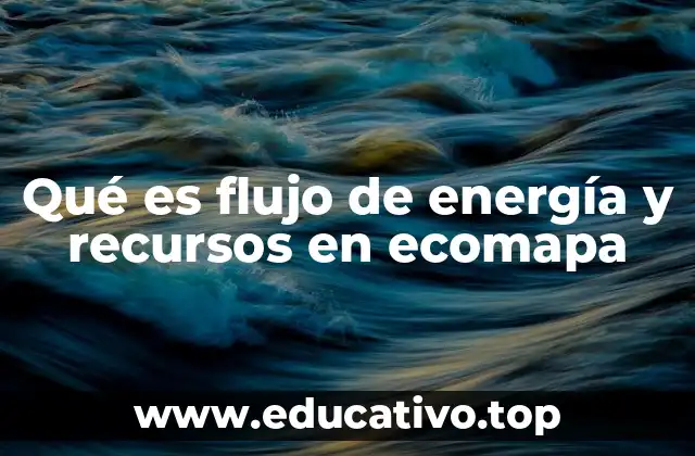 Qué es flujo de energía y recursos en ecomapa