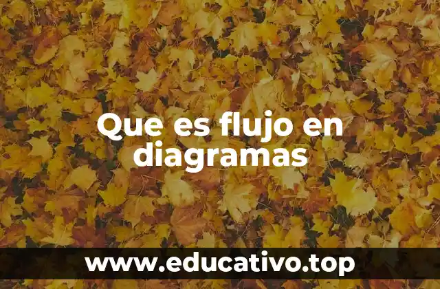 Que es flujo en diagramas