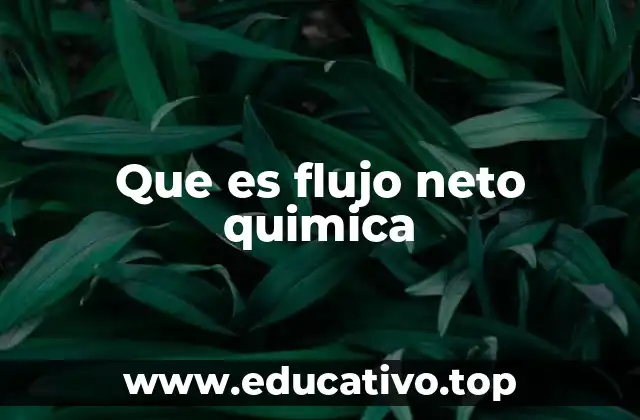 Que es flujo neto quimica