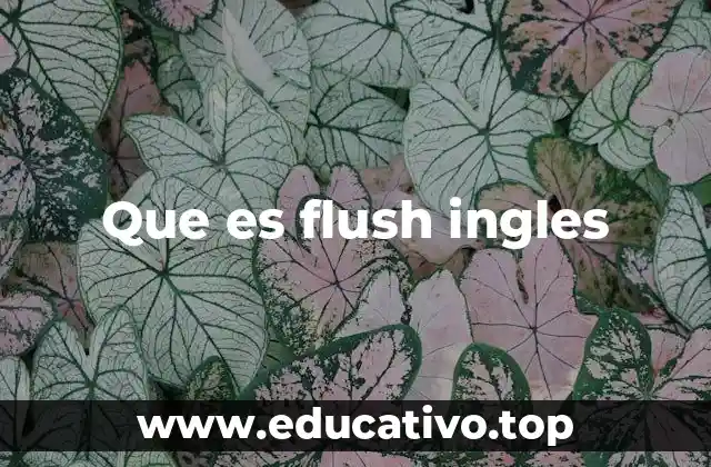 Que es flush ingles