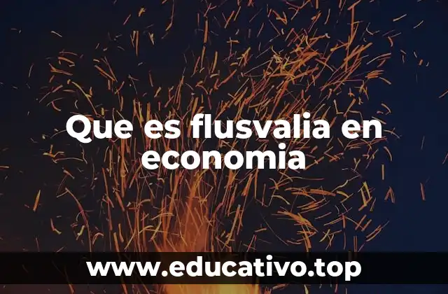 Que es flusvalia en economia