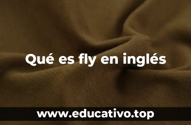 Qué es fly en inglés