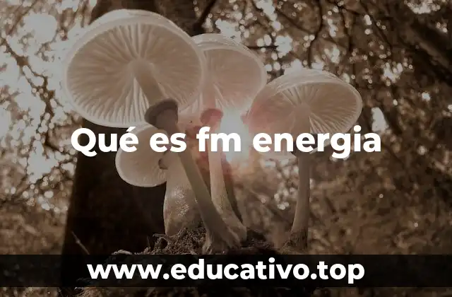 Qué es fm energia