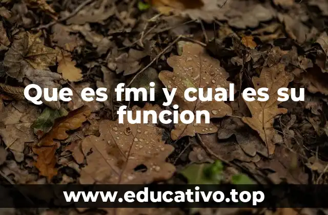 Que es fmi y cual es su funcion