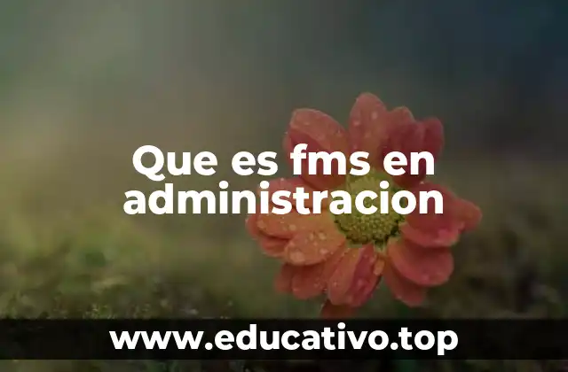 Que es fms en administracion