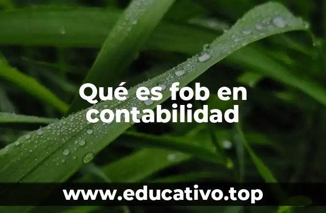 Qué es fob en contabilidad