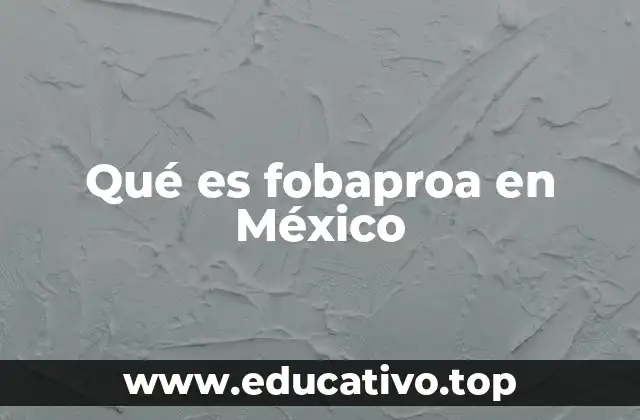 Qué es fobaproa en México