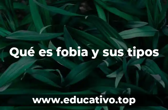 Qué es fobia y sus tipos