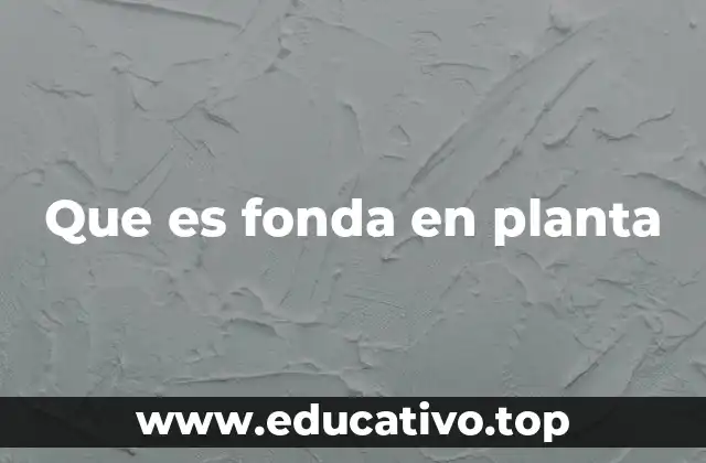 Que es fonda en planta