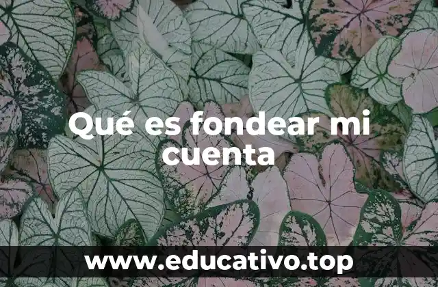 Qué es fondear mi cuenta