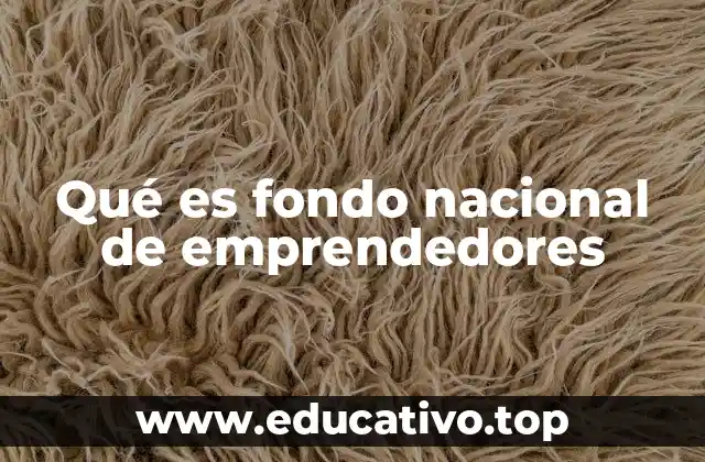 Qué es fondo nacional de emprendedores