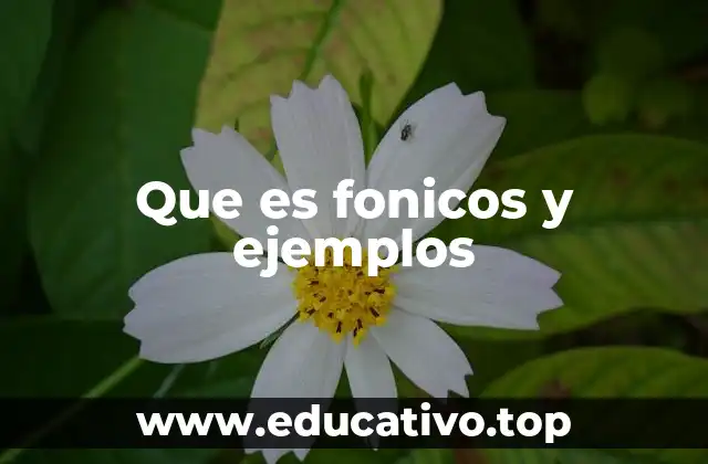 Que es fonicos y ejemplos
