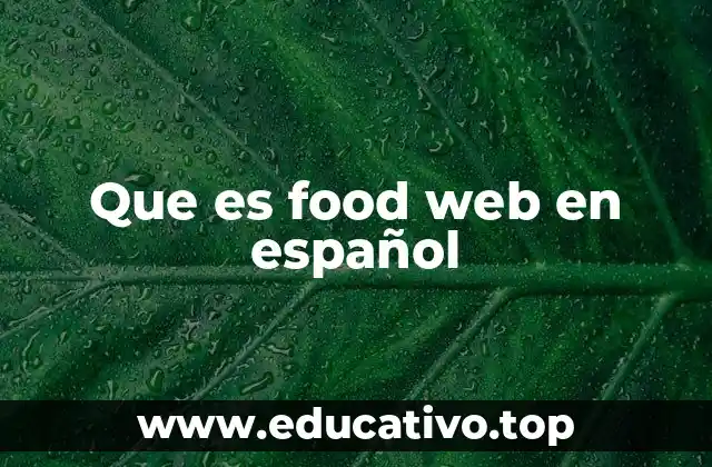 Que es food web en español