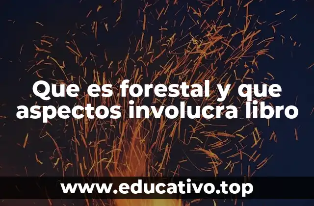 La interrelación entre bosques, ecosistemas y recursos naturales