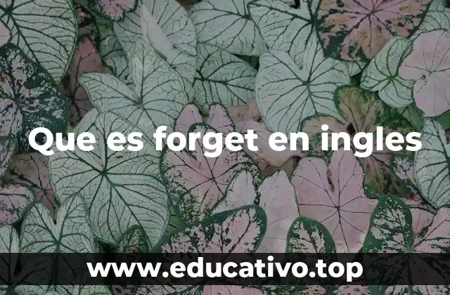 Que es forget en ingles